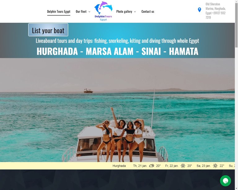 Dolphin Tours Egypt
